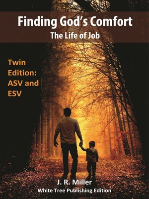 cover image of Finding God's Comfort